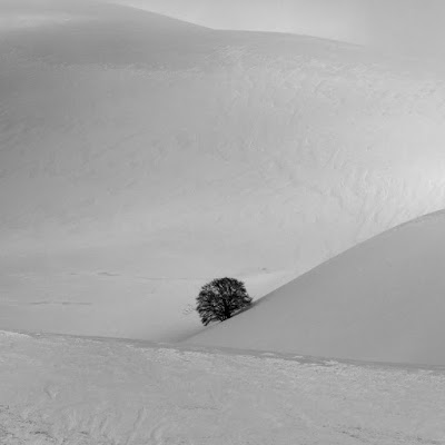 Solitario di Luca Capobianco