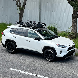 RAV4 MXAA54