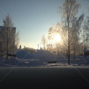 snowy morning by Ahsan Nazmul Saj - Instagram & Mobile iPhone