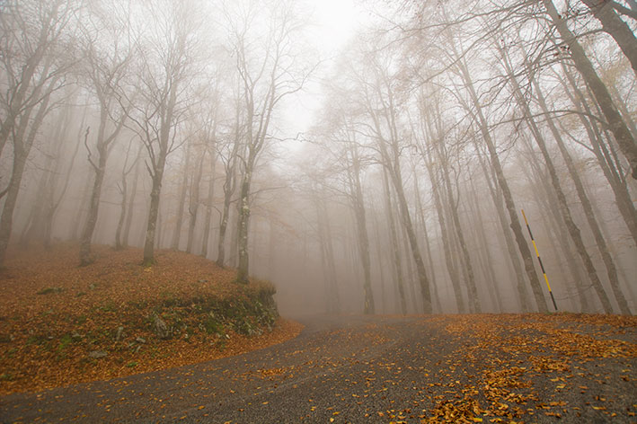 Nebbia  di nikarmelo