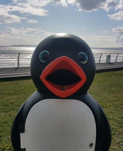 Aberavon Pingu