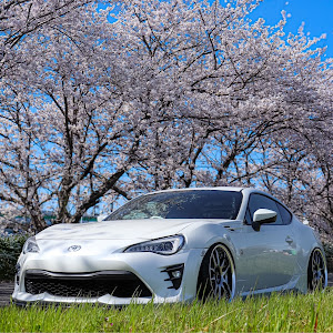 86 ZN6
