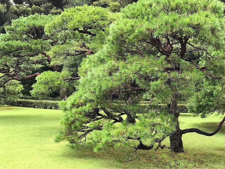 の投稿画像3枚目