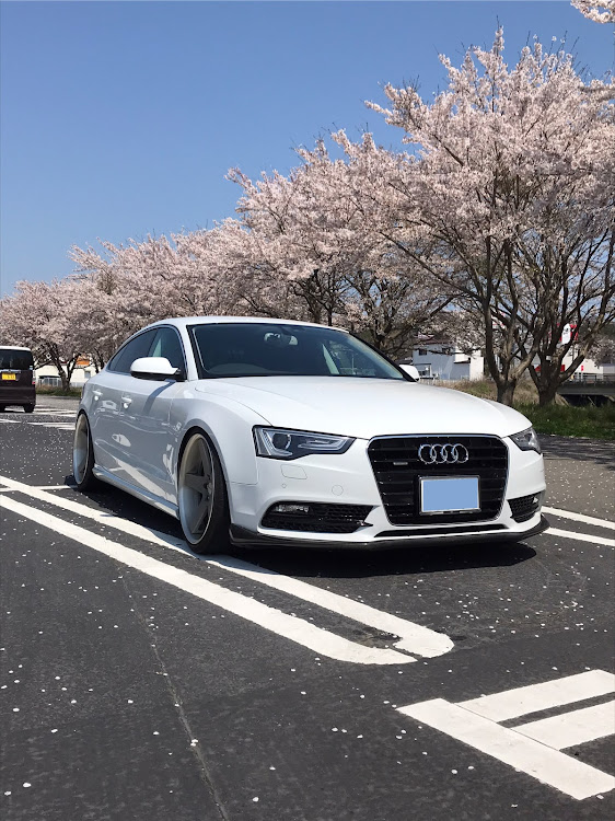 A5 スポーツバックのコロナウイルスに負けるな・桜と愛車・Audi A5・Audi A5 sportbackに関するカスタム事例の投稿画像1枚目