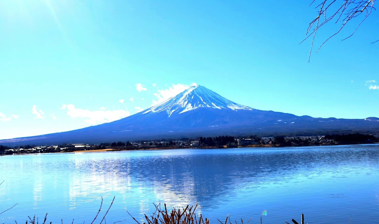 の投稿画像3枚目