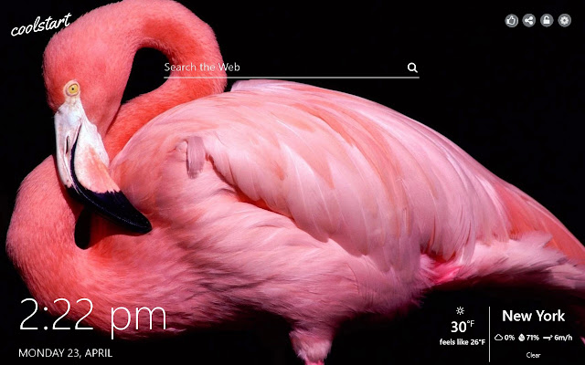 Flamingo HD Wallpapers Birds New Tab Theme