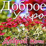 Cover Image of Unduh Russian Good Morning, Good Night wishes messages 4.12.12.1 APK