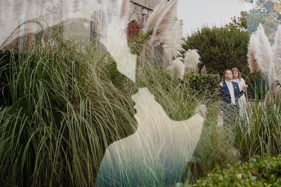 Photographe de mariage Aleksandr Aleksandrovich (alexche). Photo du 1 décembre 2017