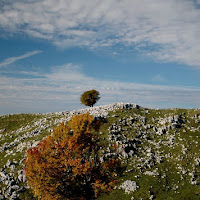 In cima al monte Pizzoc di 