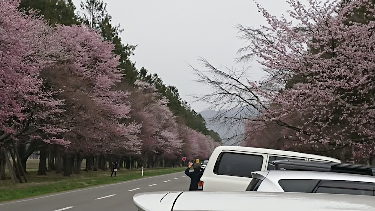 の投稿画像2枚目