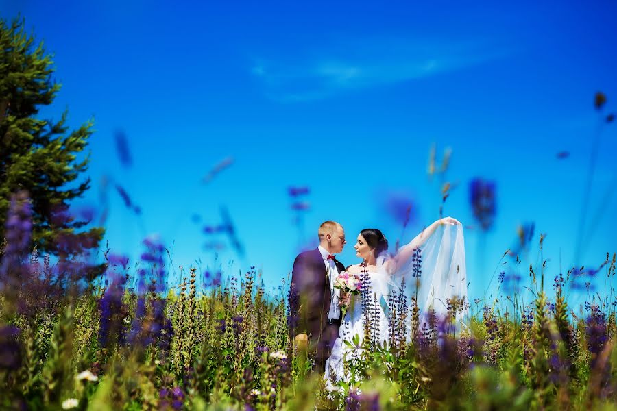 Fotógrafo de casamento Dmitriy Sergeev (dsergeev). Foto de 15 de janeiro 2017