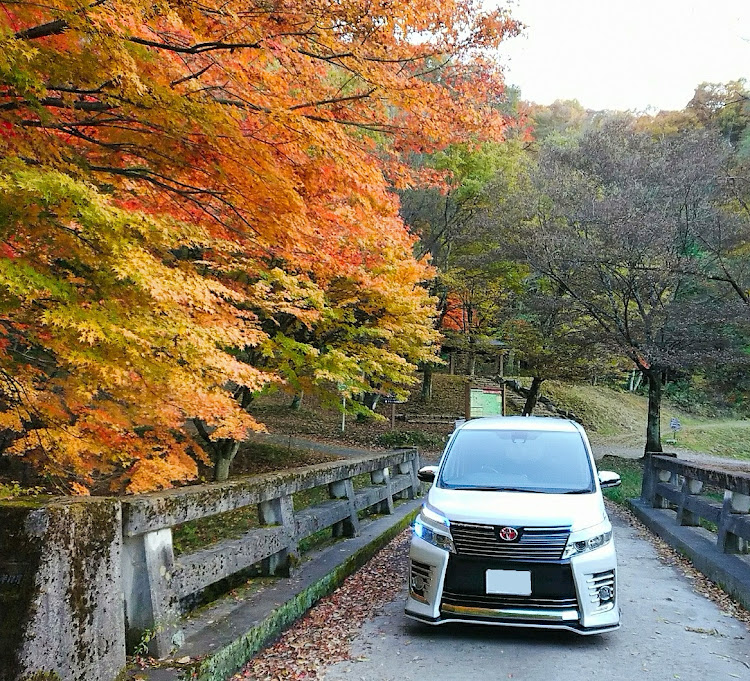 の投稿画像8枚目