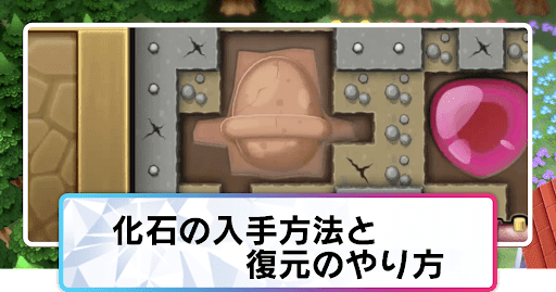 ポケモンダイパリメイク 化石ポケモンの一覧と復元のやり方 sp 神ゲー攻略