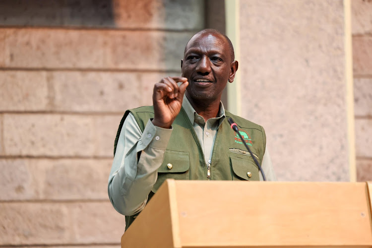 President William Ruto at the official opening of the Third Session of the Inter-Governmental Negotiating Committee (INC) on ending plastic pollution, at the United Nations Office, Nairobi on November 13, 2023