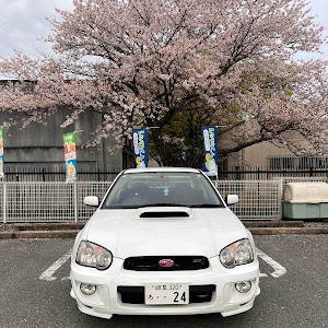 インプレッサ WRX STI GDB