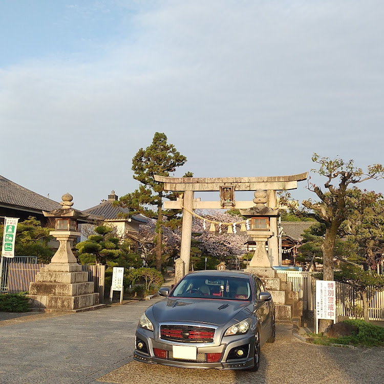 フーガの医療関係の皆様お疲れ様です(_ _)・大阪府羽曳野市　誉田八幡宮・朝日を浴びて日本最古の八幡宮の鳥居⛩️と・奈良県宇陀市の西光寺・城之山桜(垂れ桜🌸)ライトアップに関するカスタム事例の投稿画像3枚目