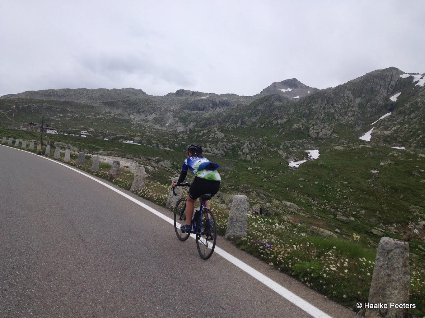 Grimselpass (Le petit requin)