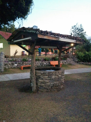 Water Well at Flower Fair