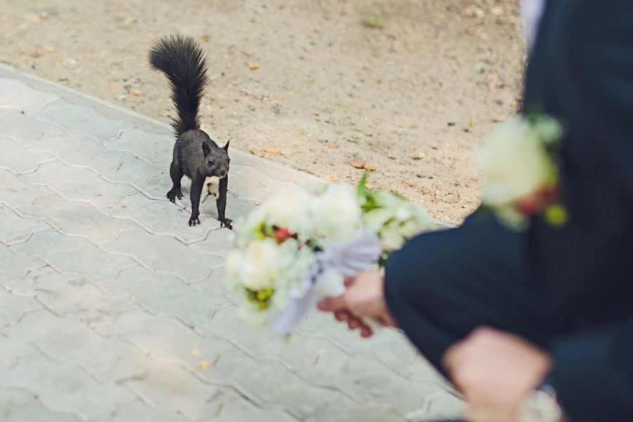 Fotógrafo de casamento Oksana Ladygina (oxanaladygina). Foto de 5 de agosto 2014