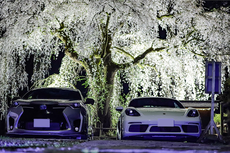C-HRの夜桜・サクラと愛車・discover＿ct・コラボありがとうございました・変態YOASOBIマンに関するカスタム事例の投稿画像10枚目