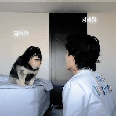 BTS's V hilariously confesses that the role of Yeontan in the