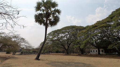 Angkor Wat Cambodia 2016 