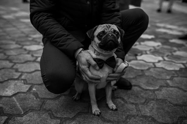 Wedding photographer Elena Rubcova (rubsowaa). Photo of 27 February 2022