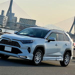 RAV4 AXAH54