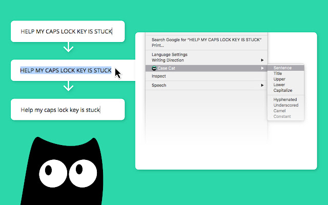 Case Cat - Text Converter chrome extension