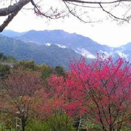 花岩山林花園餐廳