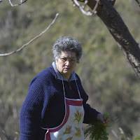 In campagna di 