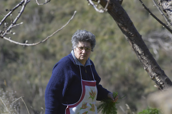 In campagna di Pippo.