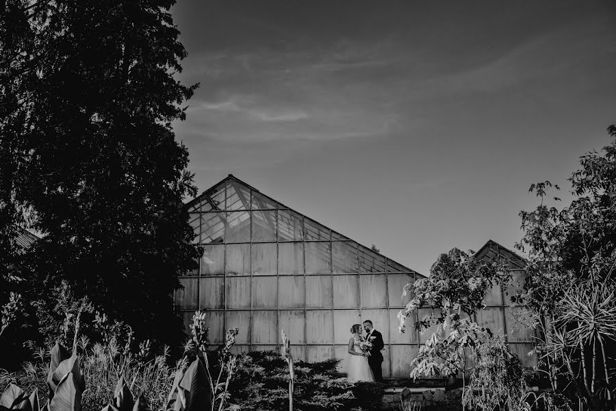 Fotógrafo de casamento Adam Purc (purc). Foto de 12 de novembro 2022