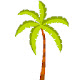 Palm Tree Wallpapers New Tab Theme