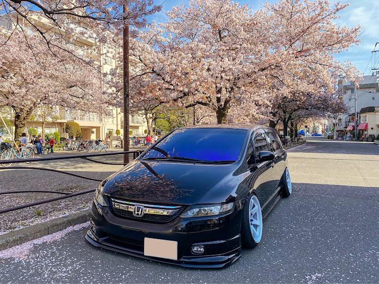 オデッセイのサクラと愛車・滑り込み桜コラボ・桜とコラボに関するカスタム事例の投稿画像2枚目