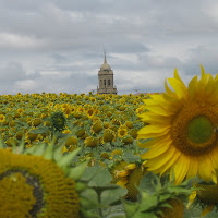 Camino di Santiago di 