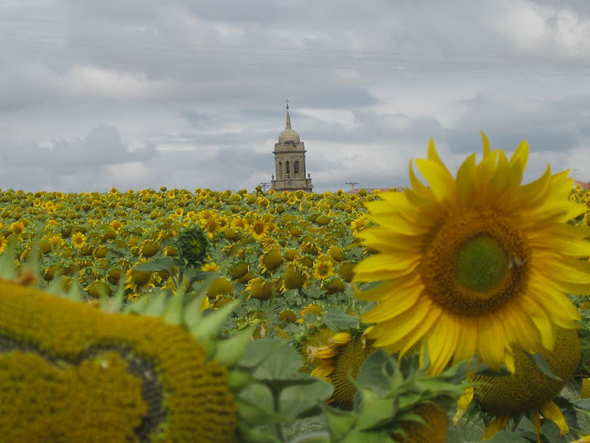 Camino di Santiago di roccomol