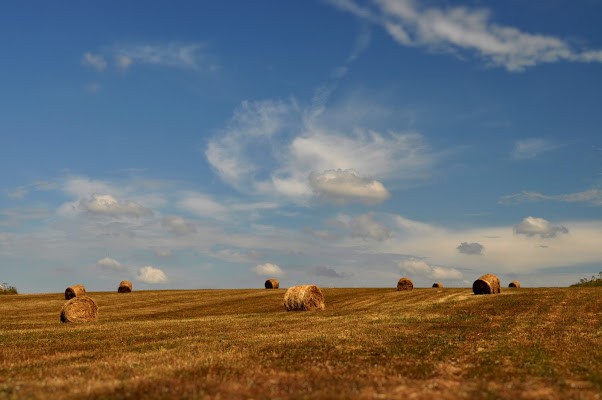 campo rasato di ph.kbb26