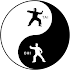 Learn Tai Chi: Tai Chi Videos1.3