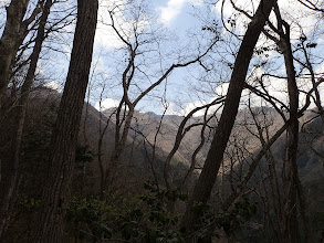 よい天気に（権現山方面）