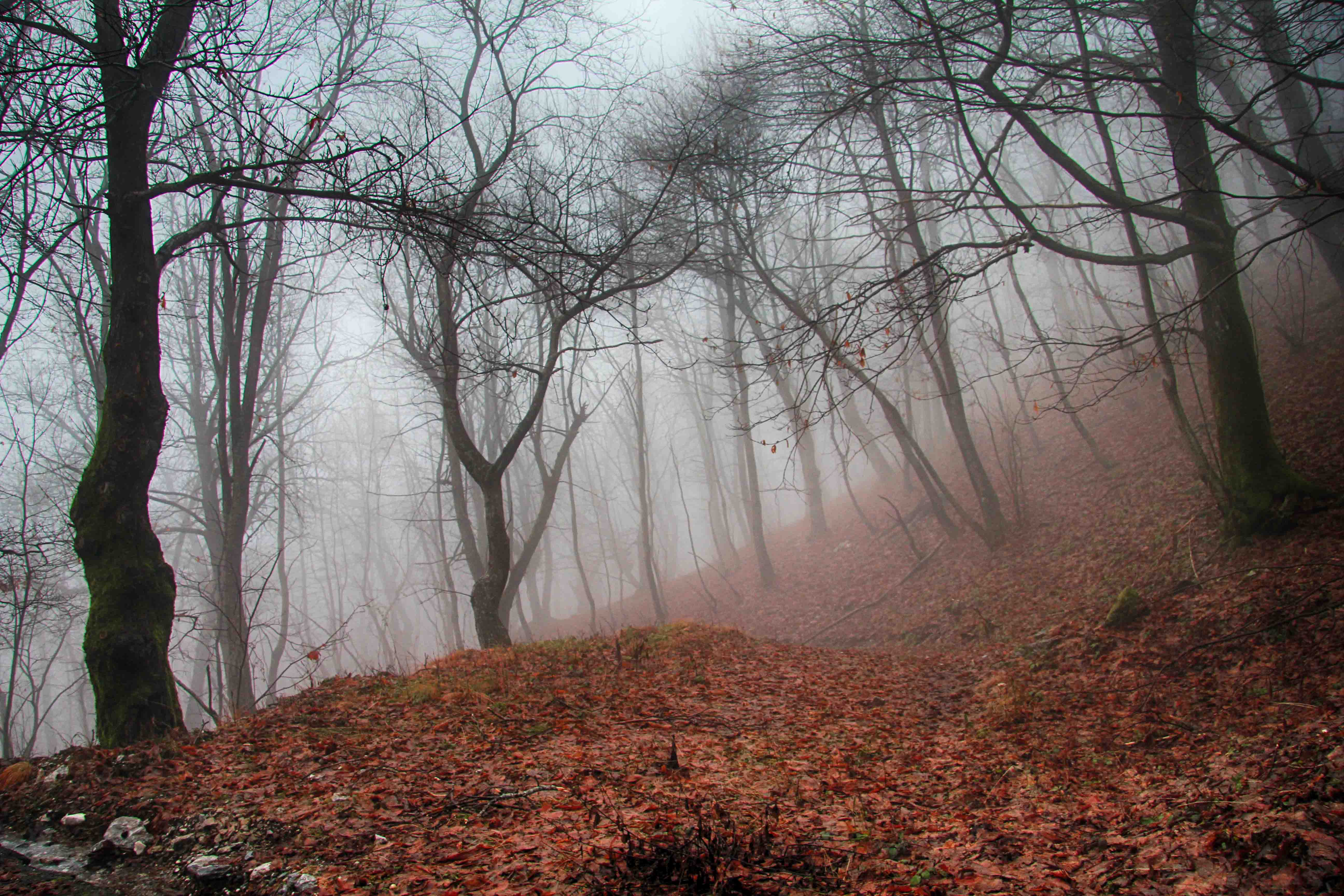 atmosfere autunnali di antonioromei