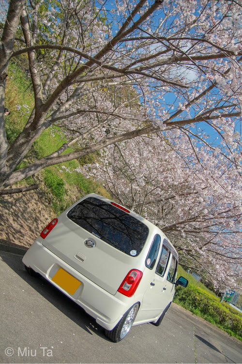 ミラココアの桜・BbsRS・simpleismに関するカスタム事例の投稿画像1枚目