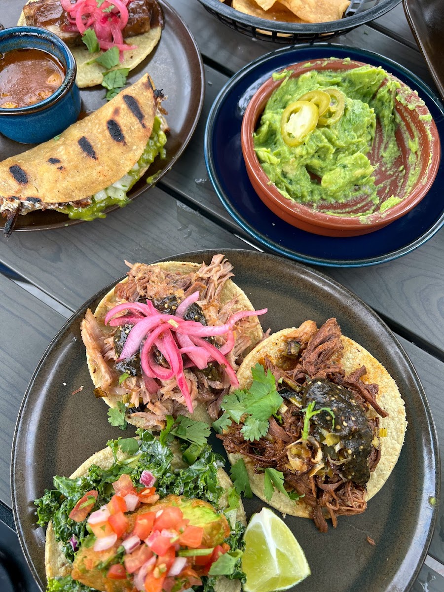 Gluten-Free Tacos at Teocalli Cocina