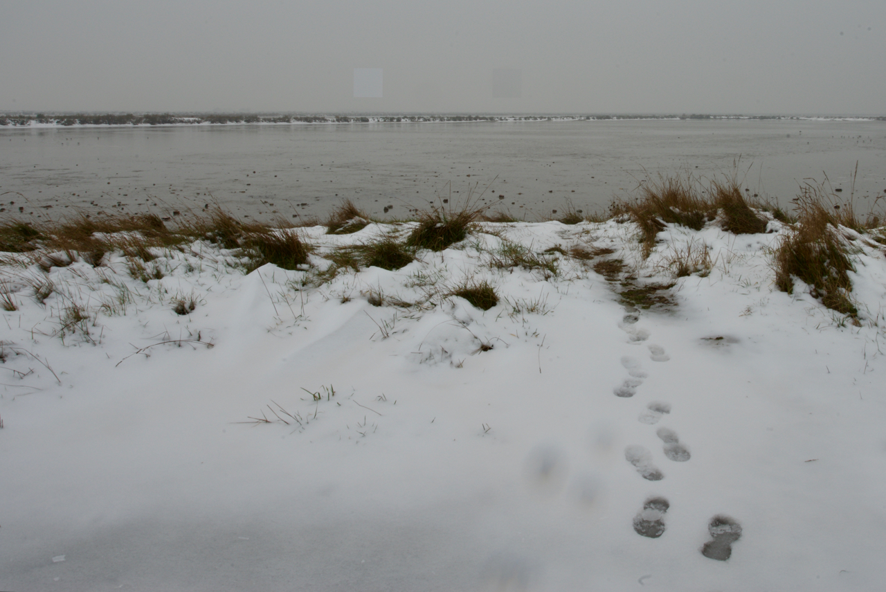 Dalla neve all'acqua di Ltz/rivadestra