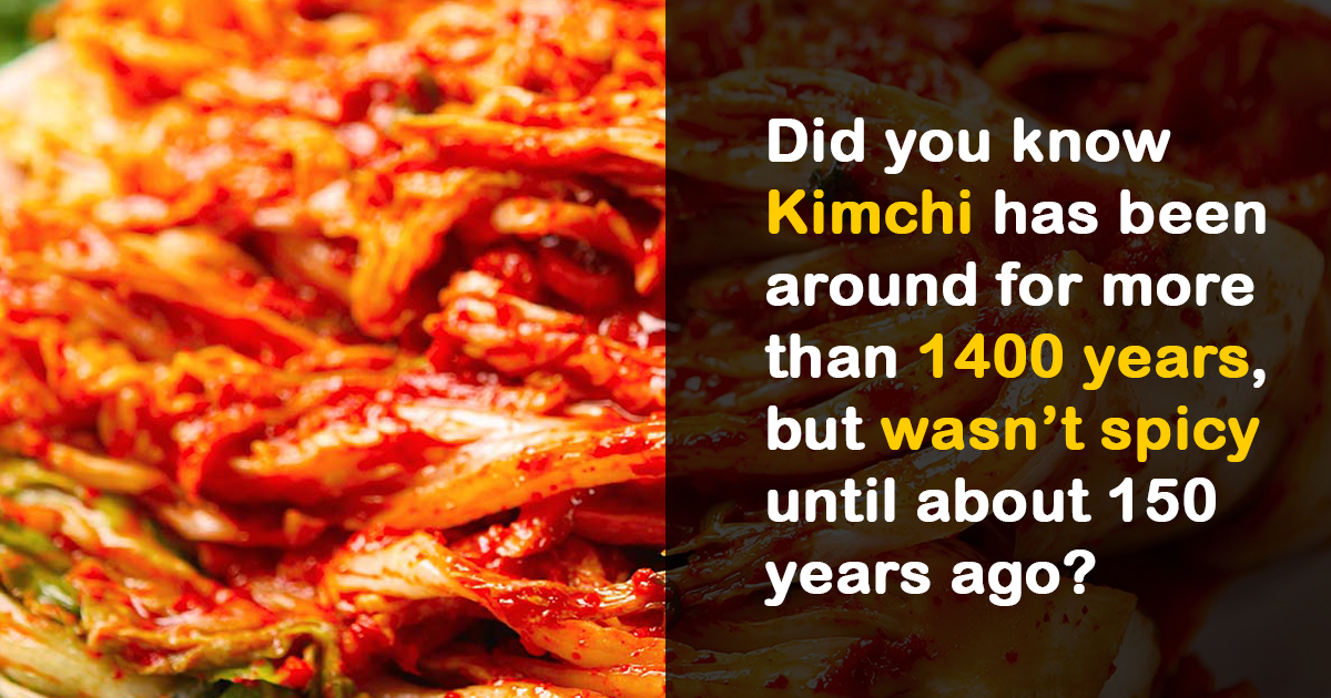 common app essay about kimchi