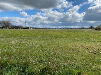 terrain à Saint-Magne-de-Castillon (33)