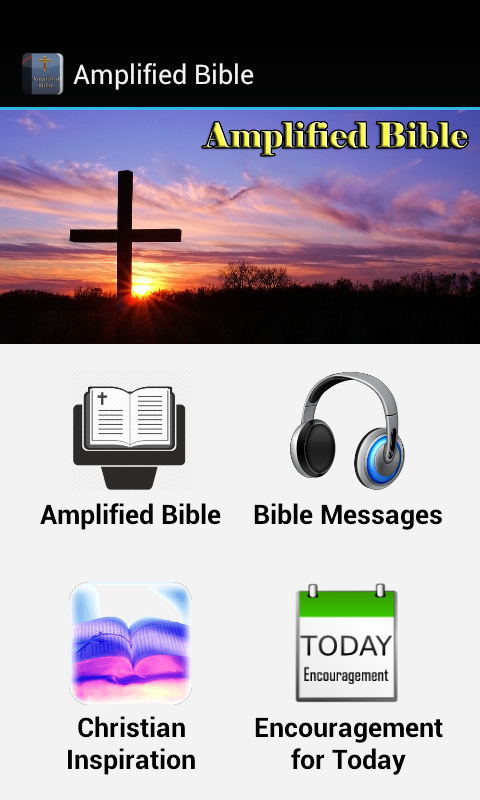 Amplified Bible Screen 1