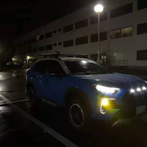 RAV4 MXAA54