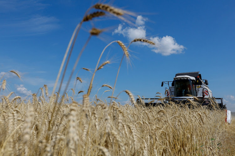 A farmer operates a combine harvester near Luhansk, Russian-controlled Ukraine, July 18 2023. Picture: REUTERS/Alexander Ermochenko