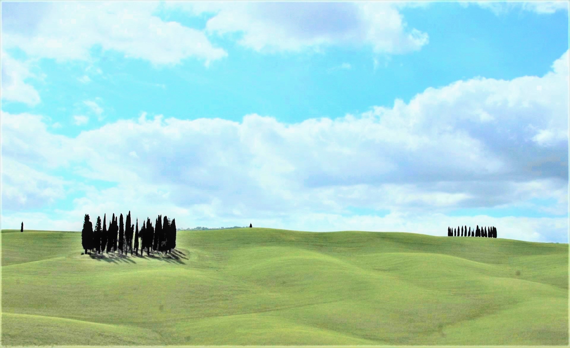 cipressi di toscana, la mia regione di pilotto